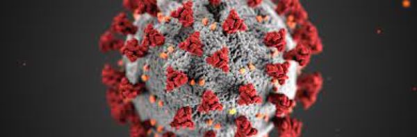 Adevărul gol – goluț!  Dezinformarea și efectele sale în contextul pandemiei de Coronavirus